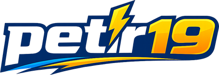 Logo petir19